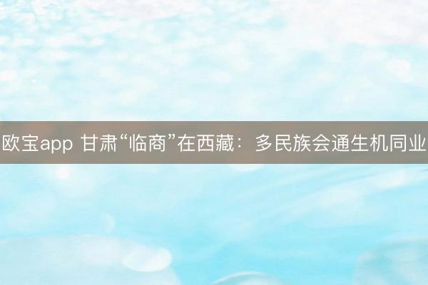 欧宝app 甘肃“临商”在西藏：多民族会通生机同业