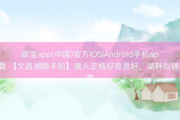 欧宝app(中国)官方IOS|Android手机app下载 【文昌湖顺手拍】镜头定格好意思好，湖畔似锦成章