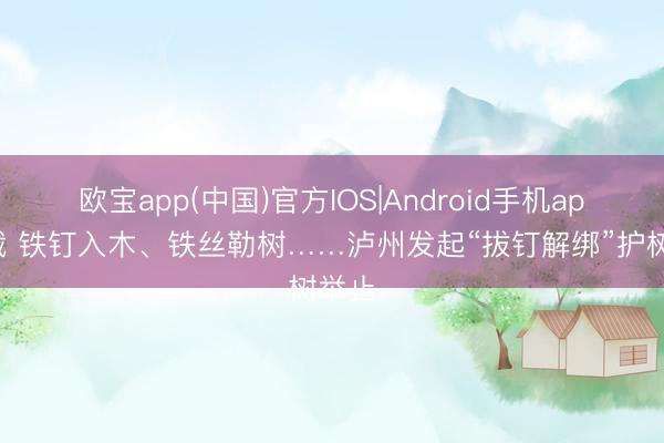 欧宝app(中国)官方IOS|Android手机app下载 铁钉入木、铁丝勒树……泸州发起“拔钉解绑”护树举止
