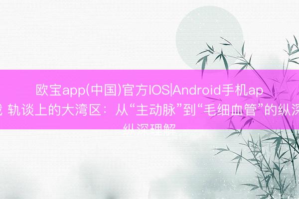 欧宝app(中国)官方IOS|Android手机app下载 轨谈上的大湾区：从“主动脉”到“毛细血管”的纵深理解