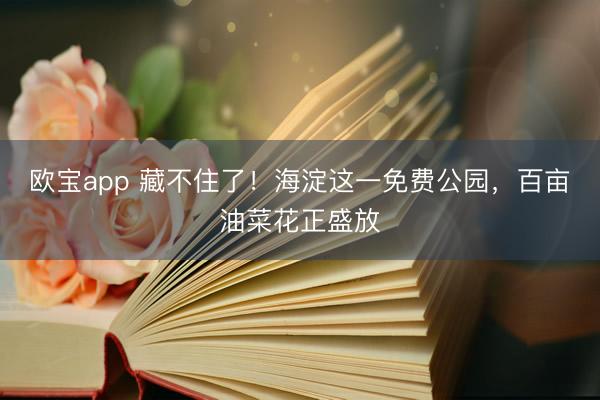 欧宝app 藏不住了!海淀这一免费公园,百亩油菜花正盛放