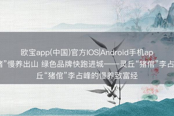 欧宝app(中国)官方IOS|Android手机app下载 “烟墨香猪”慢养出山 绿色品牌快跑进城——灵丘“猪倌”李占峰的慢养致富经
