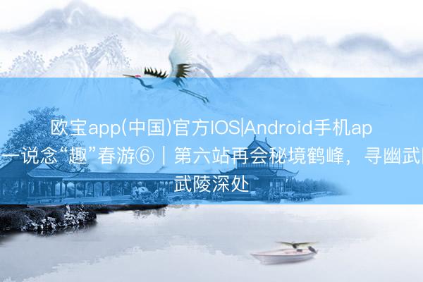 欧宝app(中国)官方IOS|Android手机app下载 一说念“趣”春游⑥|第六站再会秘境鹤峰,寻幽武陵深处
