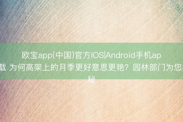 欧宝app(中国)官方IOS|Android手机app下载 为何高架上的月季更好意思更艳？园林部门为您揭秘