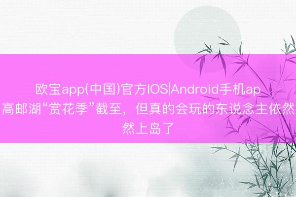 欧宝app(中国)官方IOS|Android手机app下载 高邮湖“赏花季”截至，但真的会玩的东说念主依然上岛了