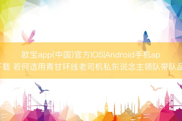 欧宝app(中国)官方IOS|Android手机app下载 若何选用青甘环线老司机私东说念主领队带队品牌