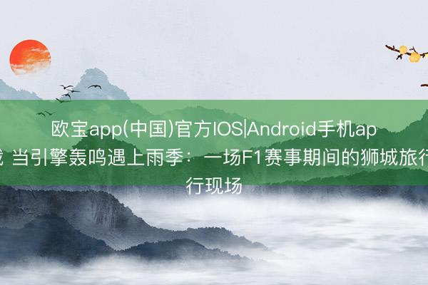 欧宝app(中国)官方IOS|Android手机app下载 当引擎轰鸣遇上雨季：一场F1赛事期间的狮城旅行现场