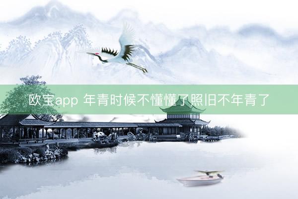 欧宝app 年青时候不懂懂了照旧不年青了