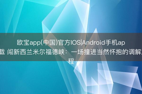 欧宝app(中国)官方IOS|Android手机app下载 闯新西兰米尔福德峡：一场撞进当然怀抱的调解旅程