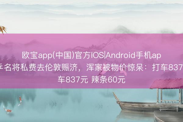 欧宝app(中国)官方IOS|Android手机app下载 前国乒名将私费去伦敦赈济，浑家被物价惊呆：打车837元 辣条60元