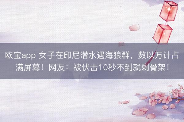 欧宝app 女子在印尼潜水遇海狼群，数以万计占满屏幕！网友：被伏击10秒不到就剩骨架！
