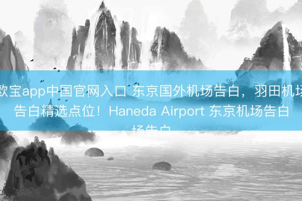 欧宝app中国官网入口 东京国外机场告白，羽田机场告白精选点位！Haneda Airport 东京机场告白