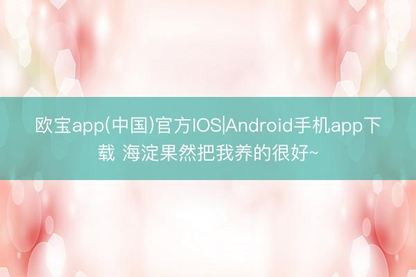 欧宝app(中国)官方IOS|Android手机app下载 海淀果然把我养的很好~