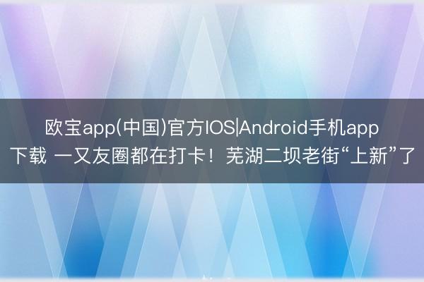 欧宝app(中国)官方IOS|Android手机app下载 一又友圈都在打卡！芜湖二坝老街“上新”了