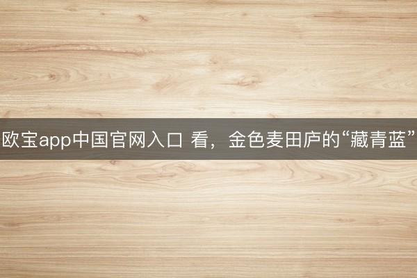 欧宝app中国官网入口 看，金色麦田庐的“藏青蓝”