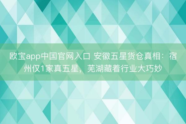 欧宝app中国官网入口 安徽五星货仓真相：宿州仅1家真五星，芜湖藏着行业大巧妙