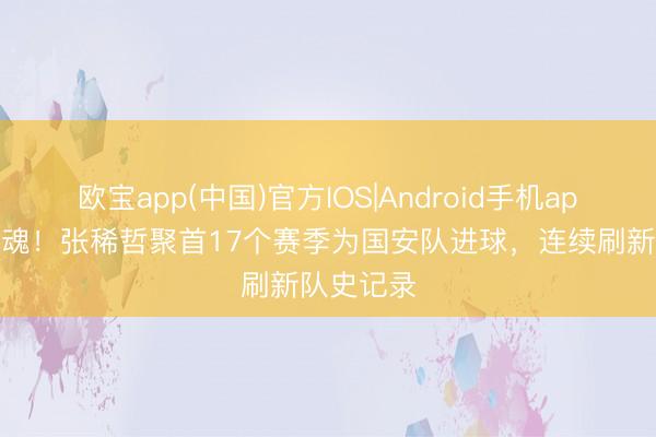 欧宝app(中国)官方IOS|Android手机app下载 队魂！张稀哲聚首17个赛季为国安队进球，连续刷新队史记录
