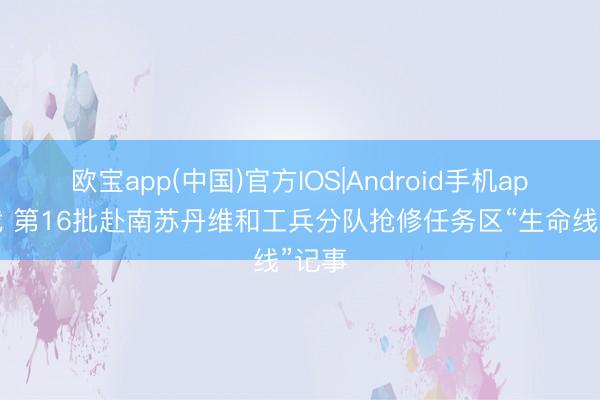 欧宝app(中国)官方IOS|Android手机app下载 第16批赴南苏丹维和工兵分队抢修任务区“生命线”记事
