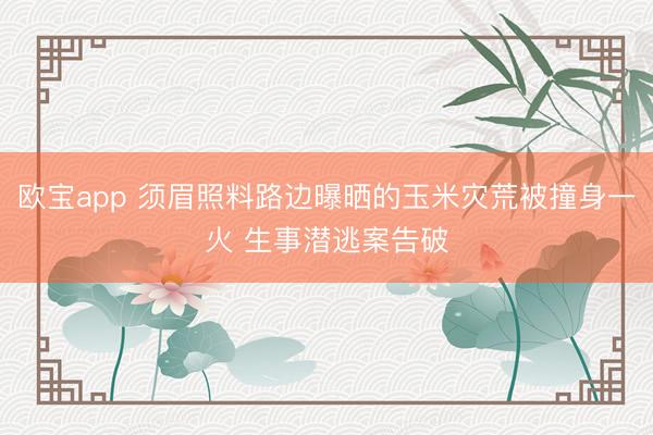 欧宝app 须眉照料路边曝晒的玉米灾荒被撞身一火 生事潜逃案告破