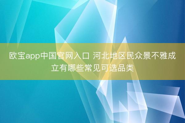 欧宝app中国官网入口 河北地区民众景不雅成立有哪些常见可选品类