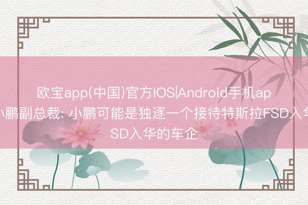 欧宝app(中国)官方IOS|Android手机app下载 小鹏副总裁: 小鹏可能是独逐一个接待特斯拉FSD入华的车企