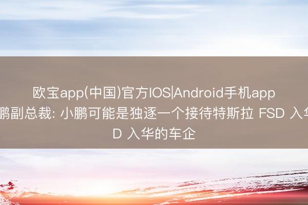 欧宝app(中国)官方IOS|Android手机app下载 小鹏副总裁: 小鹏可能是独逐一个接待特斯拉 FSD 入华的车企