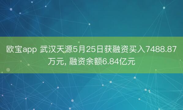 欧宝app 武汉天源5月25日获融资买入7488.87万元， 融资余额6.84亿元