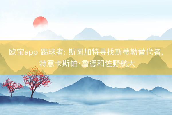 欧宝app 踢球者: 斯图加特寻找斯蒂勒替代者, 特意卡斯帕·詹德和佐野航大