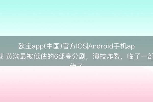 欧宝app(中国)官方IOS|Android手机app下载 黄渤最被低估的6部高分剧，演技炸裂，临了一部绝了