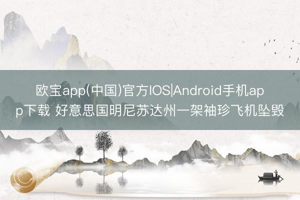 欧宝app(中国)官方IOS|Android手机app下载 好意思国明尼苏达州一架袖珍飞机坠毁