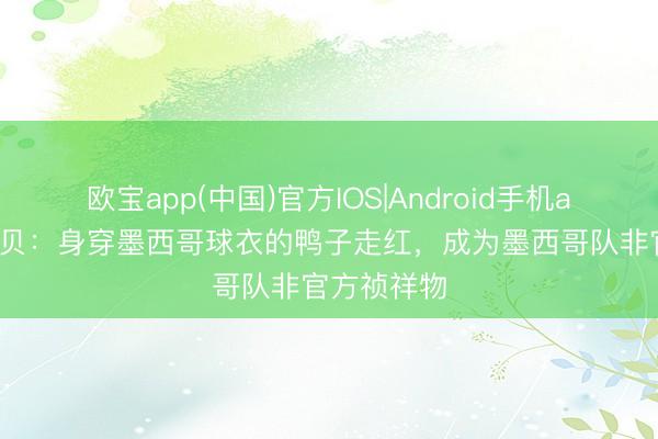 欧宝app(中国)官方IOS|Android手机app下载 科贝:身穿墨西哥球衣的鸭子走红,成为墨西哥队非官方祯祥物